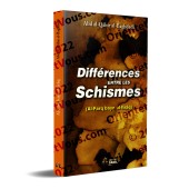 Différences entre les schismes